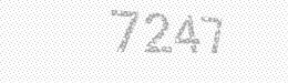 Visual security code — type the characters shown in the image